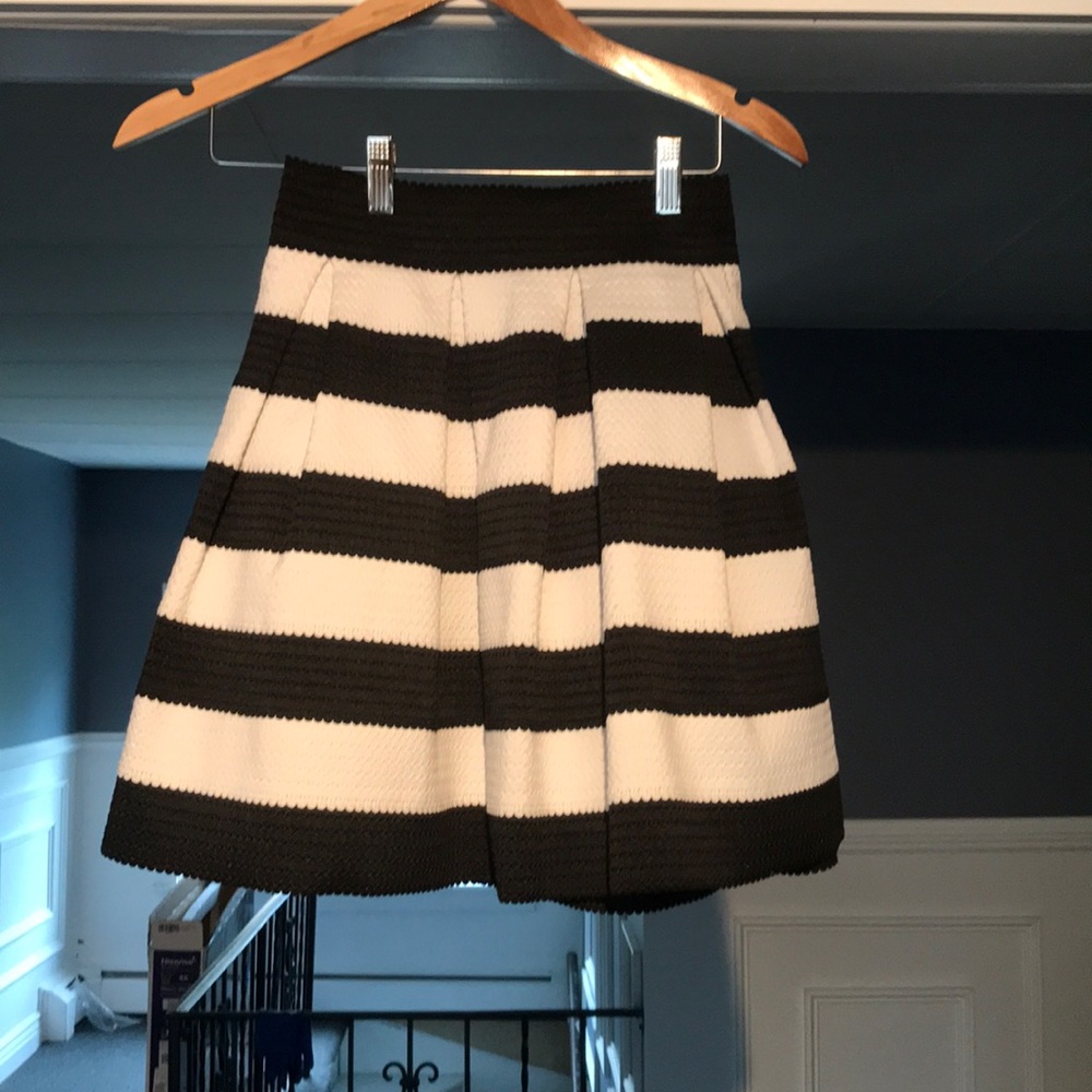 Express skirt